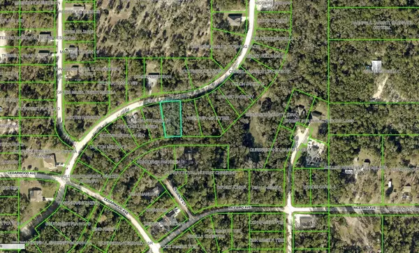 Weeki Wachee, FL 34614,14368 CHIMNEY SWIFT RD