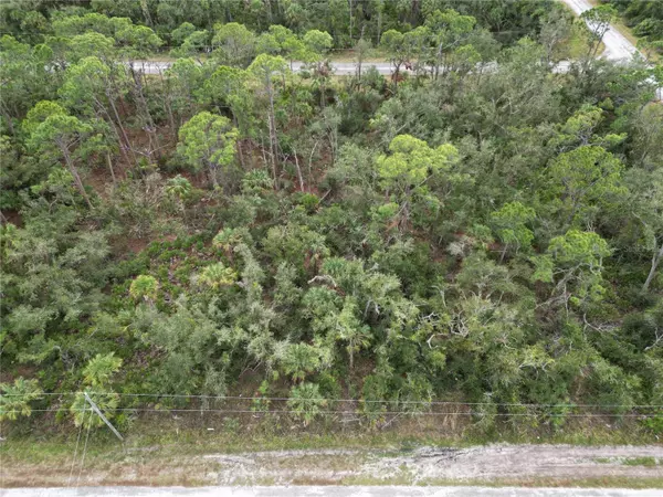 17059 ARTHUR AVE, Port Charlotte, FL 33948