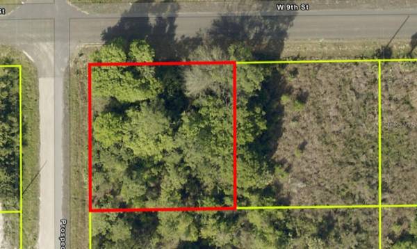 407 W 9TH ST, Lehigh Acres, FL 33972