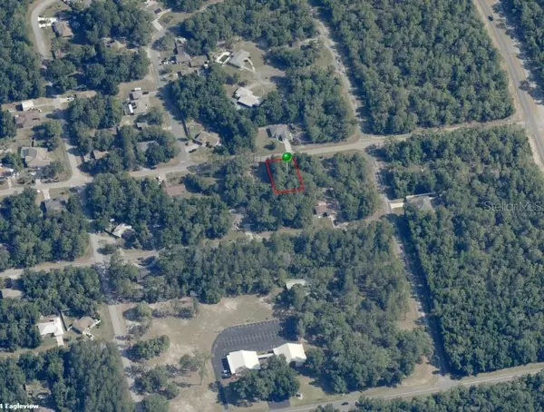 Citrus Springs, FL 34434,1390 W EVERGREEN DR