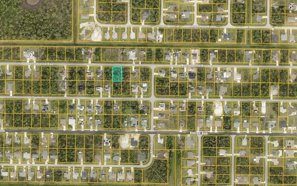 North Port, FL 34286,0956143825 BELLADONNA AVE