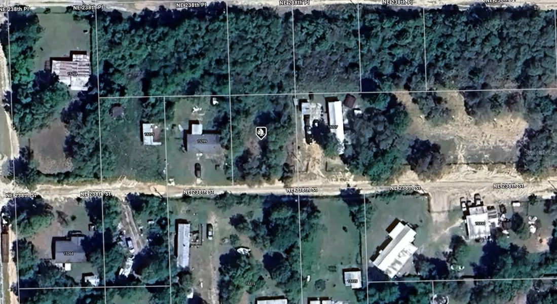 NE 238TH ST, Fort Mc Coy, FL 32134