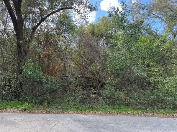 Dade City, FL 33523,Lot 76 IDLE A WHILE CIR