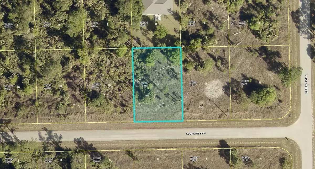 Lehigh Acres, FL 33974,1247 CLOPLON ST E