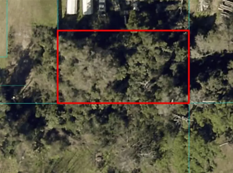 SE 142ND PL, Summerfield, FL 34491