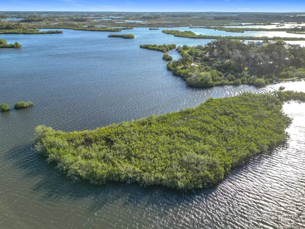 Crystal River, FL 34429,14101 W ST MARTINS RD