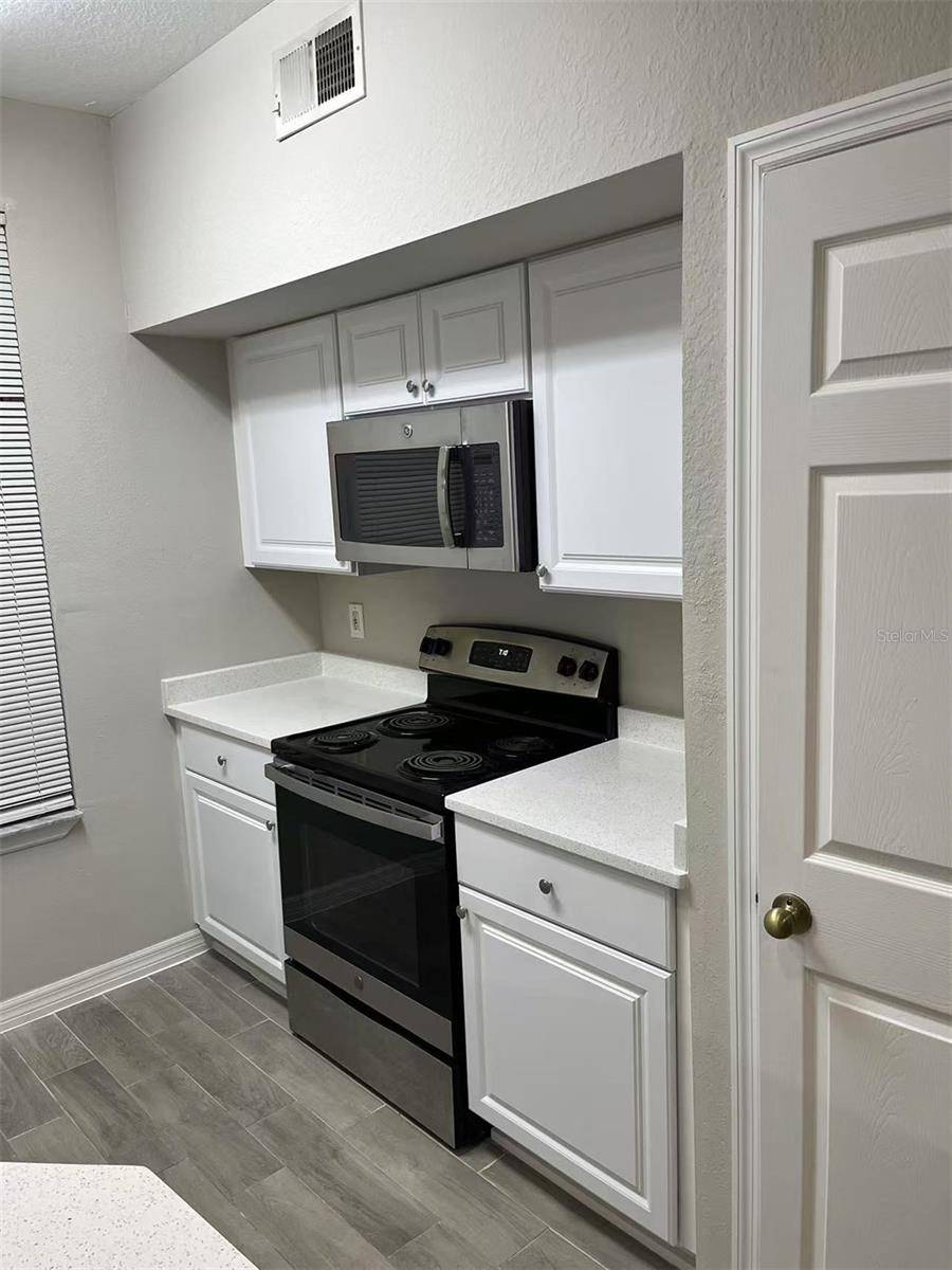 Tampa, FL 33626,9110 LAKE CHASE ISLAND WAY #9110