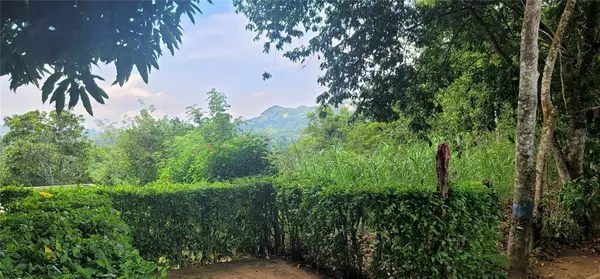 Yasica, 00000,#3 CARRETERA YÁSICA ABAJO