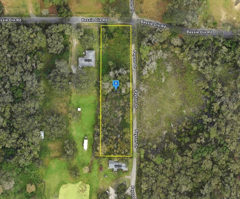 11185 BESSIE DIX RD, Seffner, FL 33584