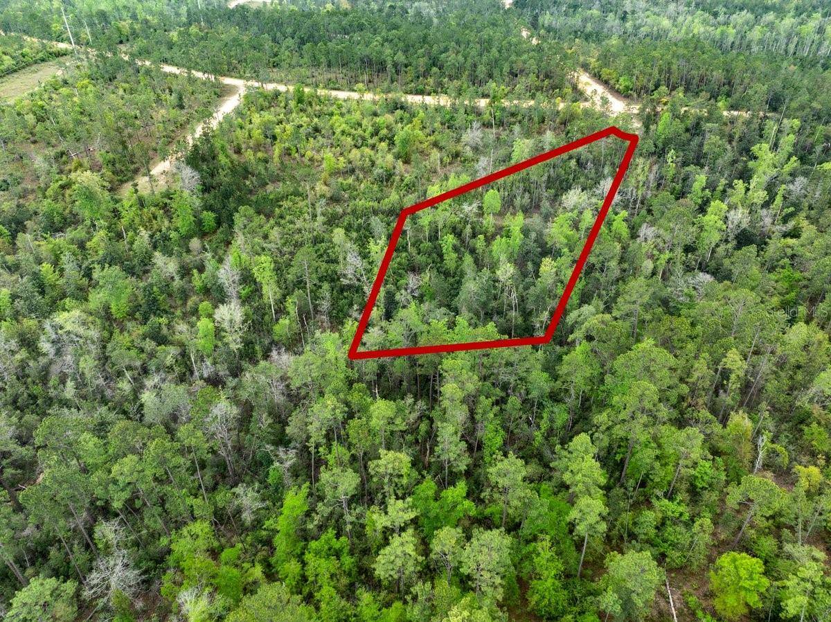 Alford, FL 32420,CASTLE CIR