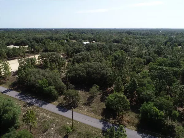 Dunnellon, FL 34431,0 SW FLORAL CT