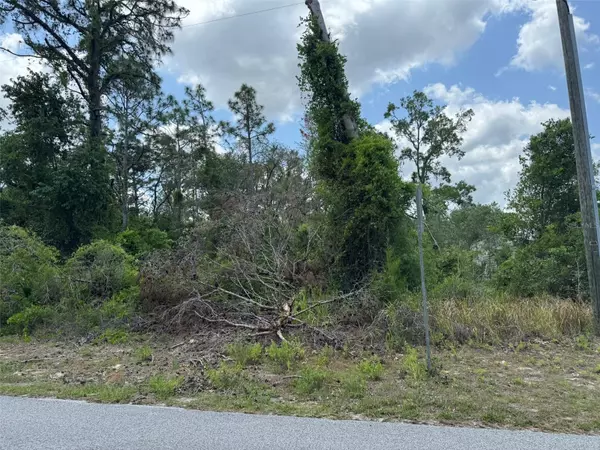 Lot 3 LONG LAKE AVE, Weeki Wachee, FL 34613
