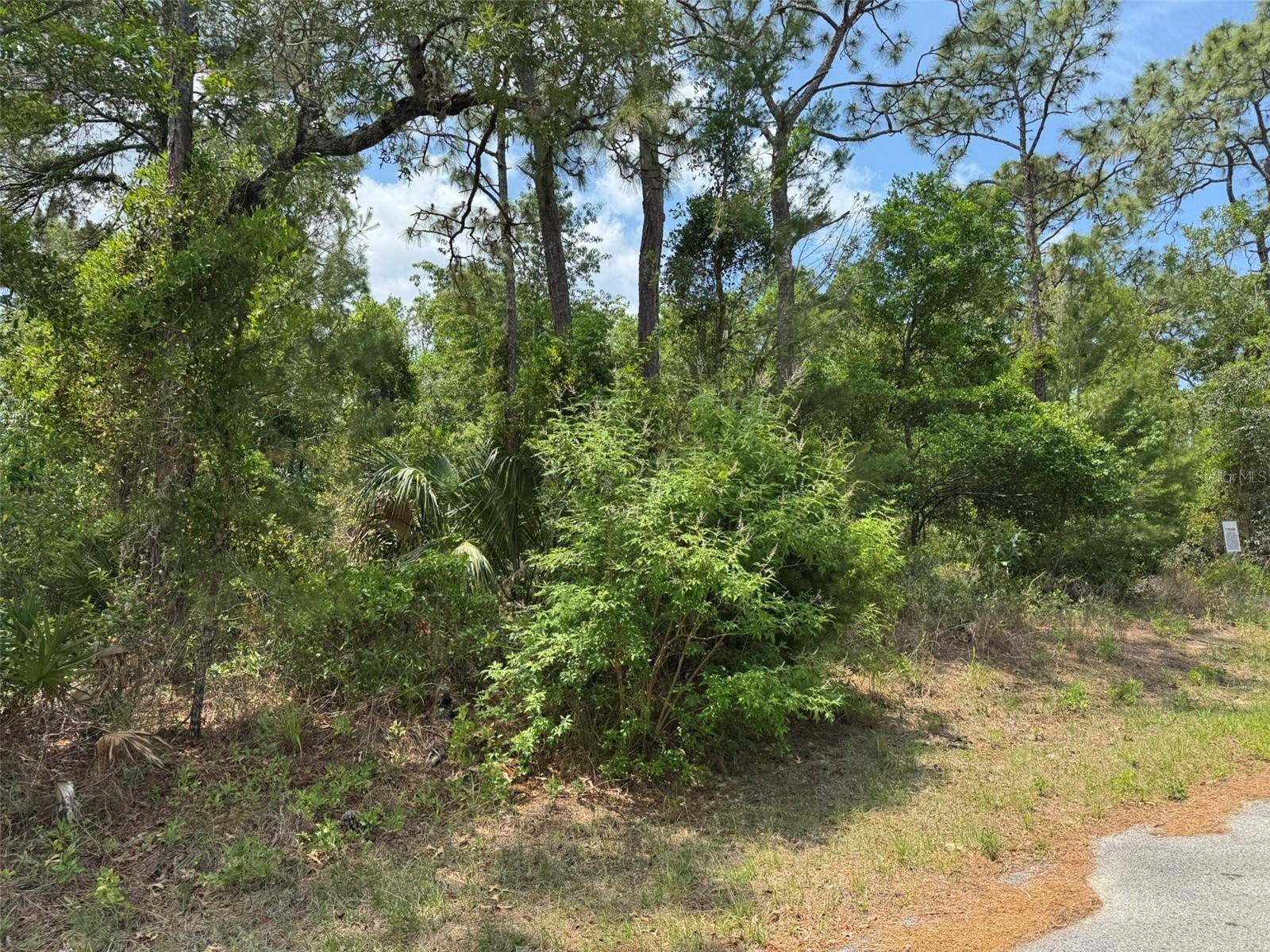 Brooksville, FL 34613,Lot 77 WATERBIRD WAY