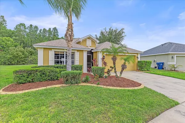 Land O Lakes, FL 34639,5618 SHEER BLISS LOOP