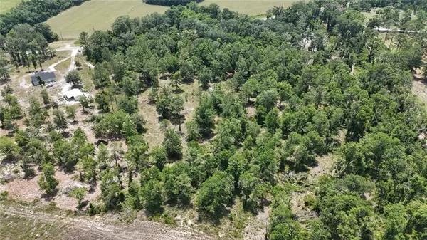 Live Oak, FL 32060,CR 49