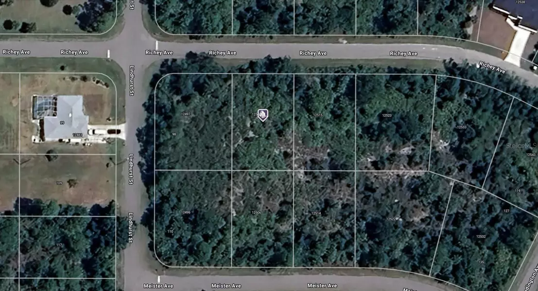 12507 RICHEY AVE, Port Charlotte, FL 33953