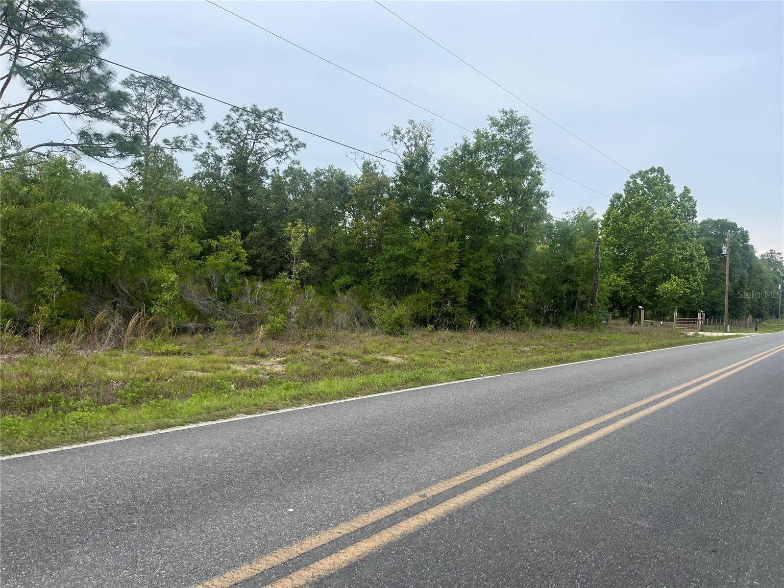 Bronson, FL 32621,TBD SCHOOL ST