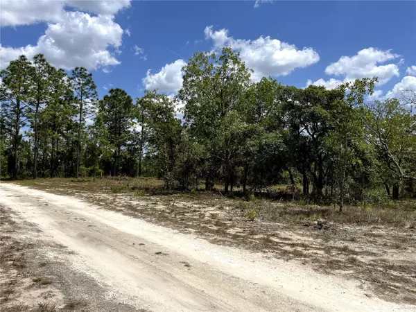 Dunnellon, FL 34431,TBD SE 95TH ST