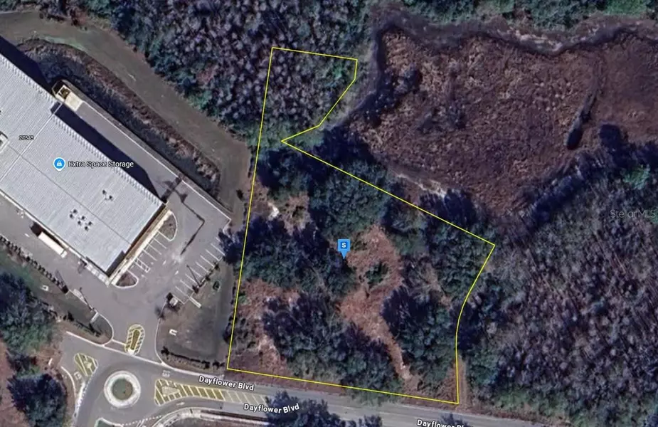 27561 DAYFLOWER BLVD, Wesley Chapel, FL 33544