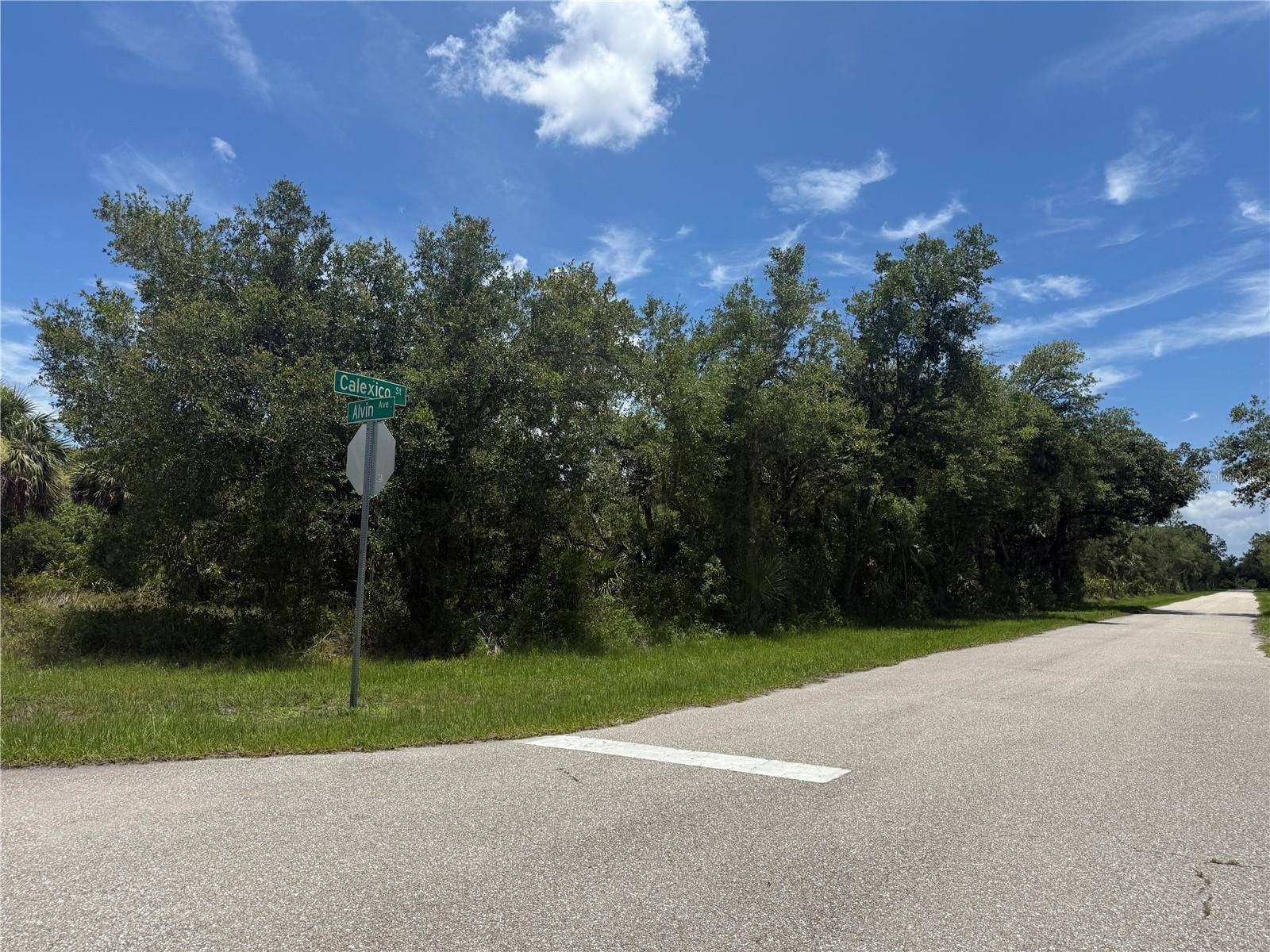 Port Charlotte, FL 33948,17045 ALVIN AVE