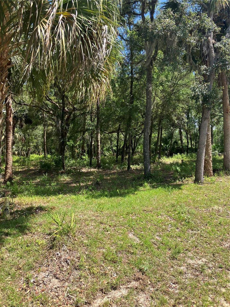 Crystal River, FL 34428,12350 W RIVERWOOD DR