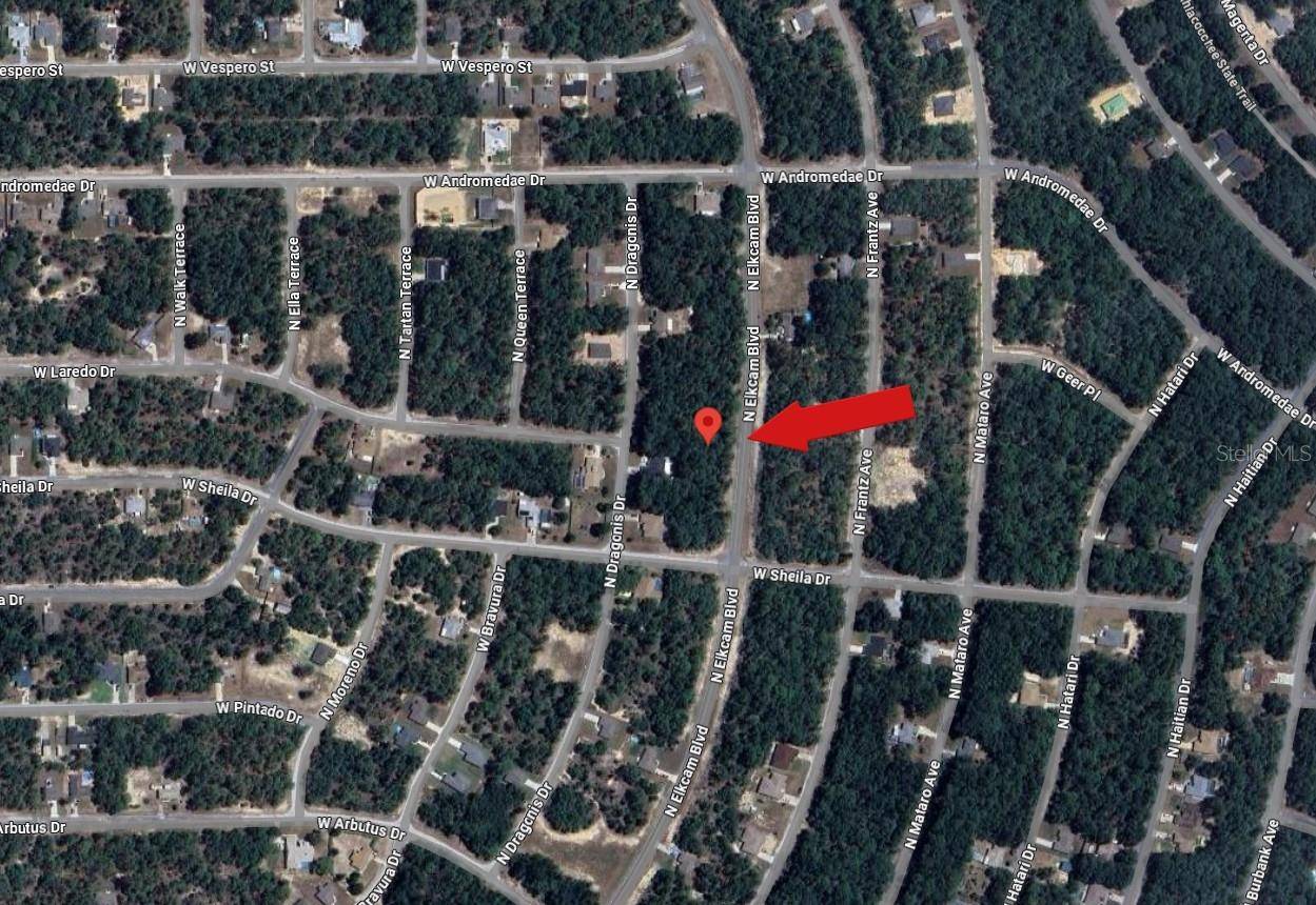 Citrus Springs, FL 34433,10858 N ELKCAM BLVD
