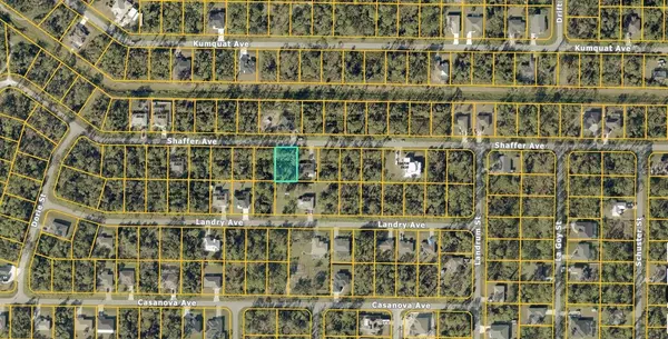 North Port, FL 34291,0967060426 SHAFFER AVE