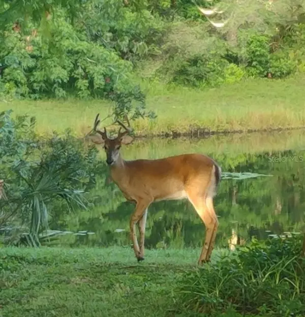 Oviedo, FL 32766,1656 RIVEREDGE RD