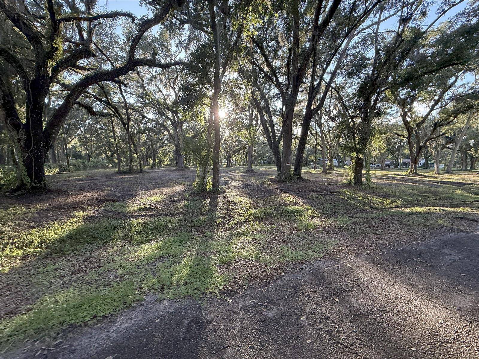 Lakeland, FL 33810,4110 MOSSY OAK DR