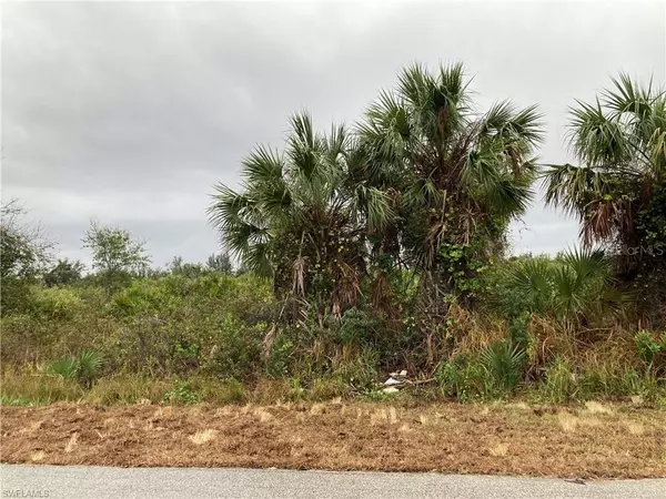 Port Charlotte, FL 33981,13403 HIGH SPRINGS AVE