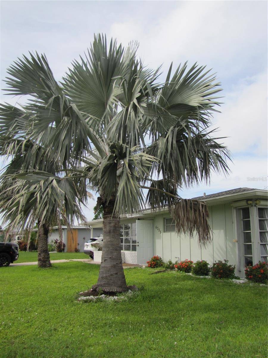 North Port, FL 34287,6355 FREEMONT ST