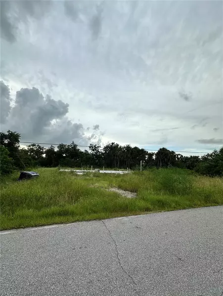 234 SPRING DR, Rotonda West, FL 33947
