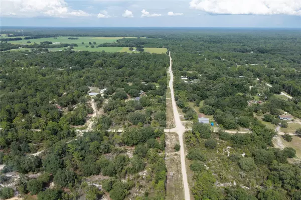 Bronson, FL 32621,0 NE 90 ST