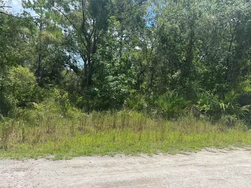 LISLE AVE, New Port Richey, FL 34654