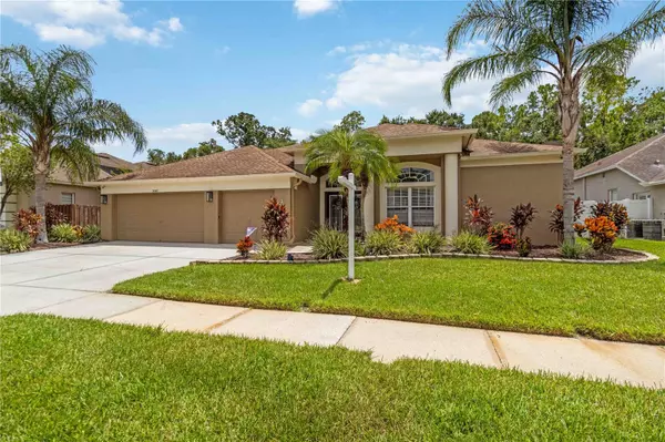 Wesley Chapel, FL 33544,5042 SILVER CHARM TER