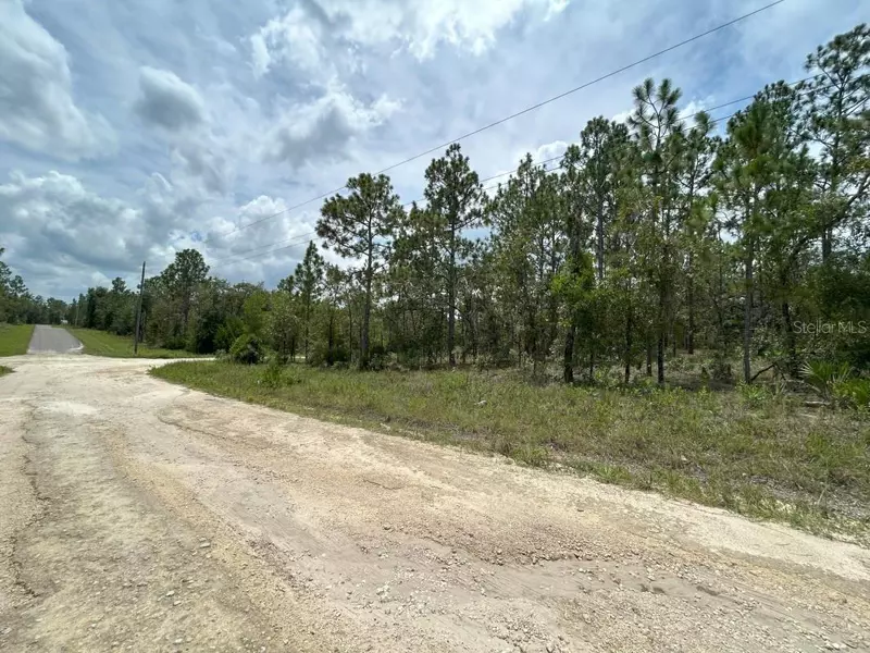lot 6 NE 152ND CT, Williston, FL 32696