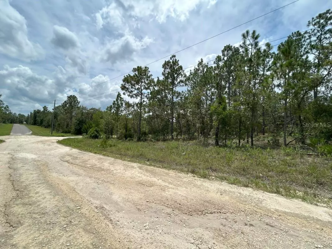 Williston, FL 32696,lot 6 NE 152ND CT