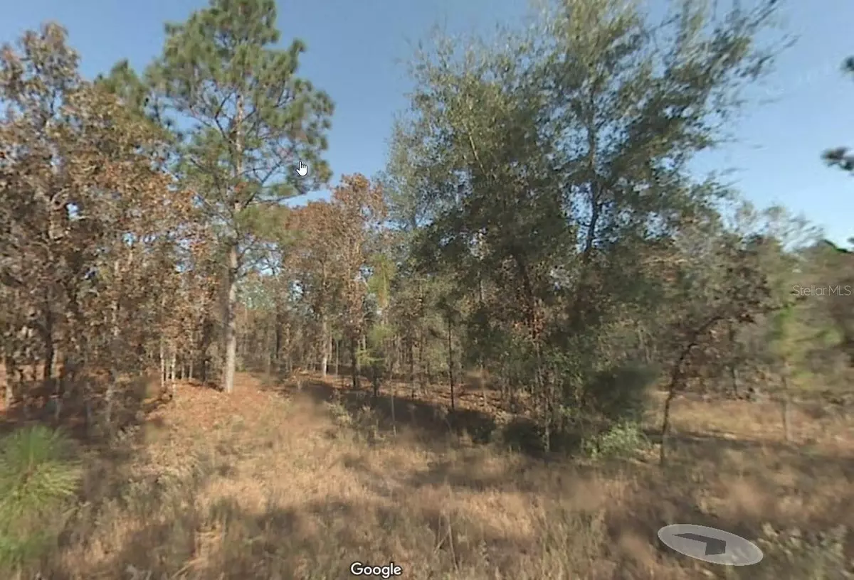 Ocala, FL 34481,0 SW 26TH PL