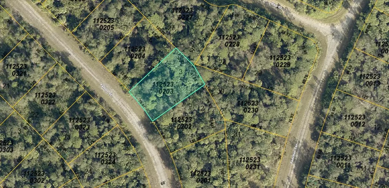 1125230203 FAFTON ST, North Port, FL 34288