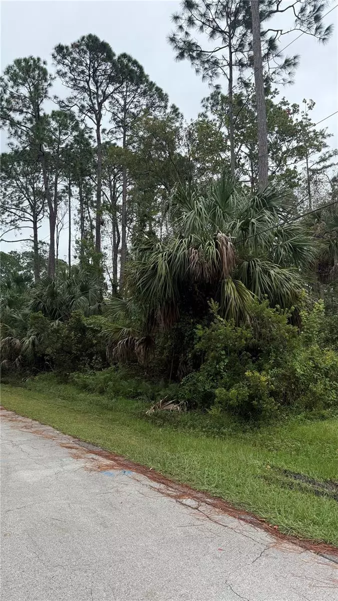 Palm Coast, FL 32164,10 POINDEXTER LN