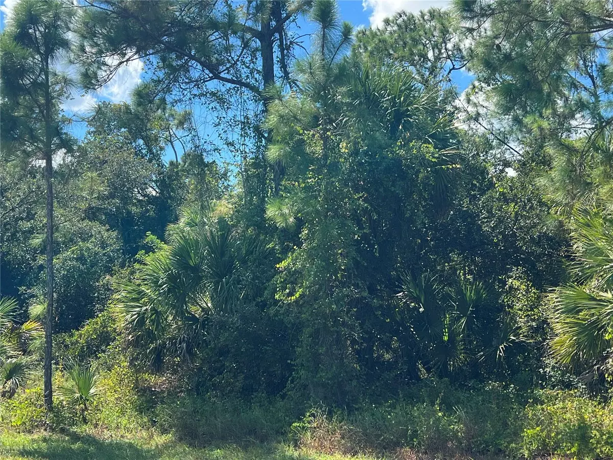 Port Charlotte, FL 33954,299 TROUTDALE ST