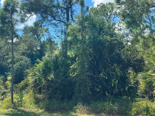 299 TROUTDALE ST,  Port Charlotte,  FL 33954