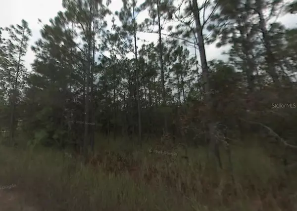 Ocala, FL 34481,LOT 10 SW 41ST STREET RD