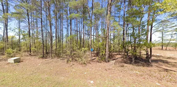 Ponce De Leon, FL 32455,431 GOLF CLUB CIR