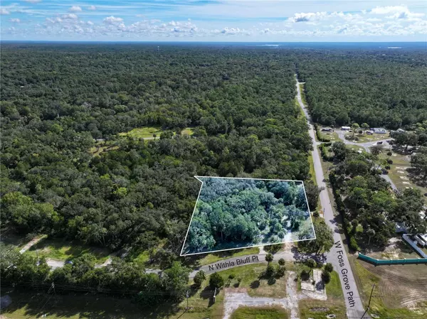 Inglis, FL 34449,11009 N WITHLA BLUFF PT
