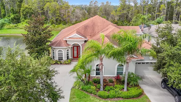 Land O Lakes, FL 34638,20952 AMANDA OAK CT
