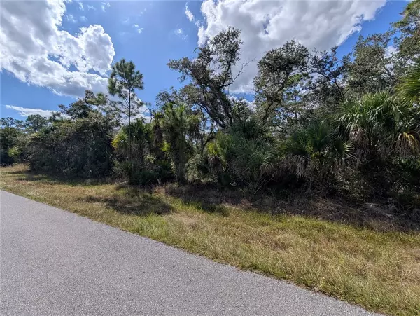 Port Charlotte, FL 33953,181 JUPER ST