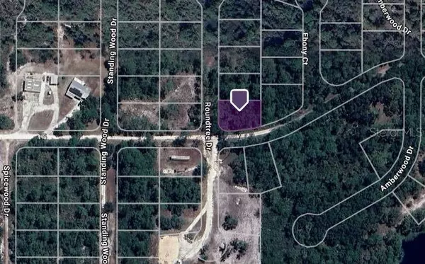 Sebring, FL 33875,10150 ROUNDTREE DR