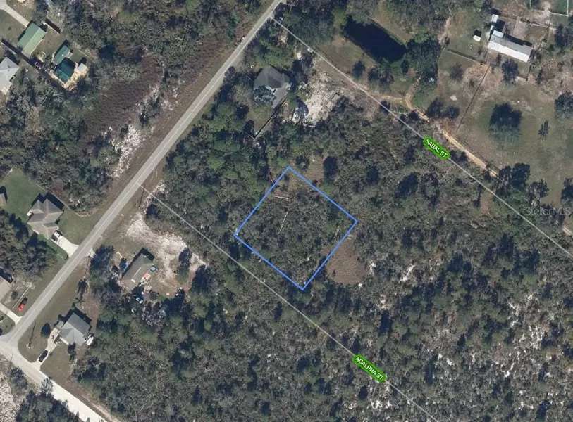 1306 ACALPHA ST, Lake Placid, FL 33852