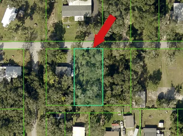 Brooksville, FL 34604,NICHOLAS AVE